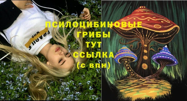 СК Зерноград
