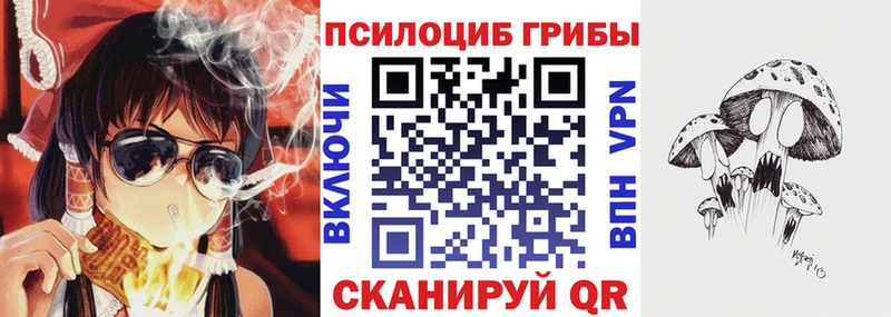 Галлюциногенные грибы Psilocybe Зарайск